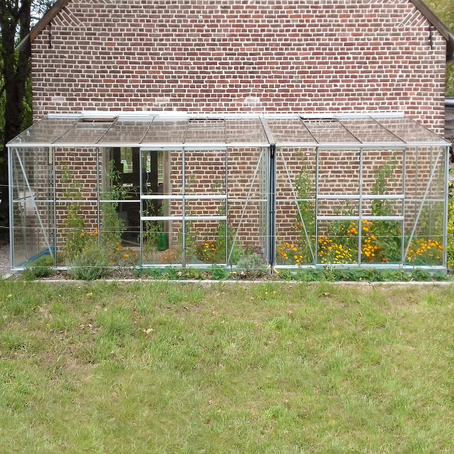 Serre adossée MÉLISSA 4,90 m² – Image 3