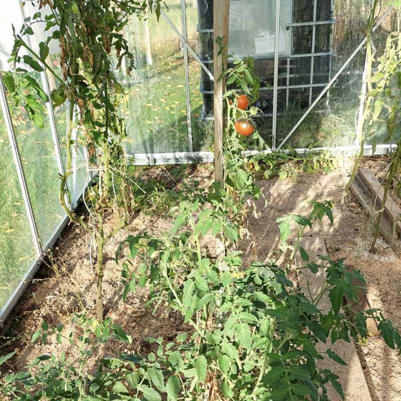 Serre LAURUS 14,40 m² – Image 4