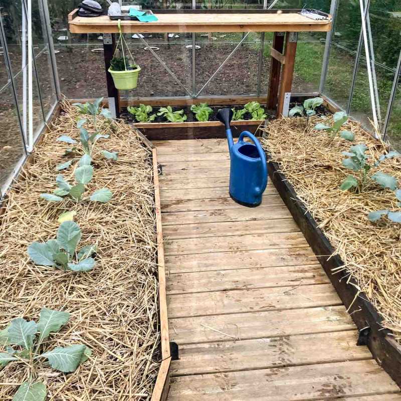 Serre LAURUS 9,70 m² – Image 5