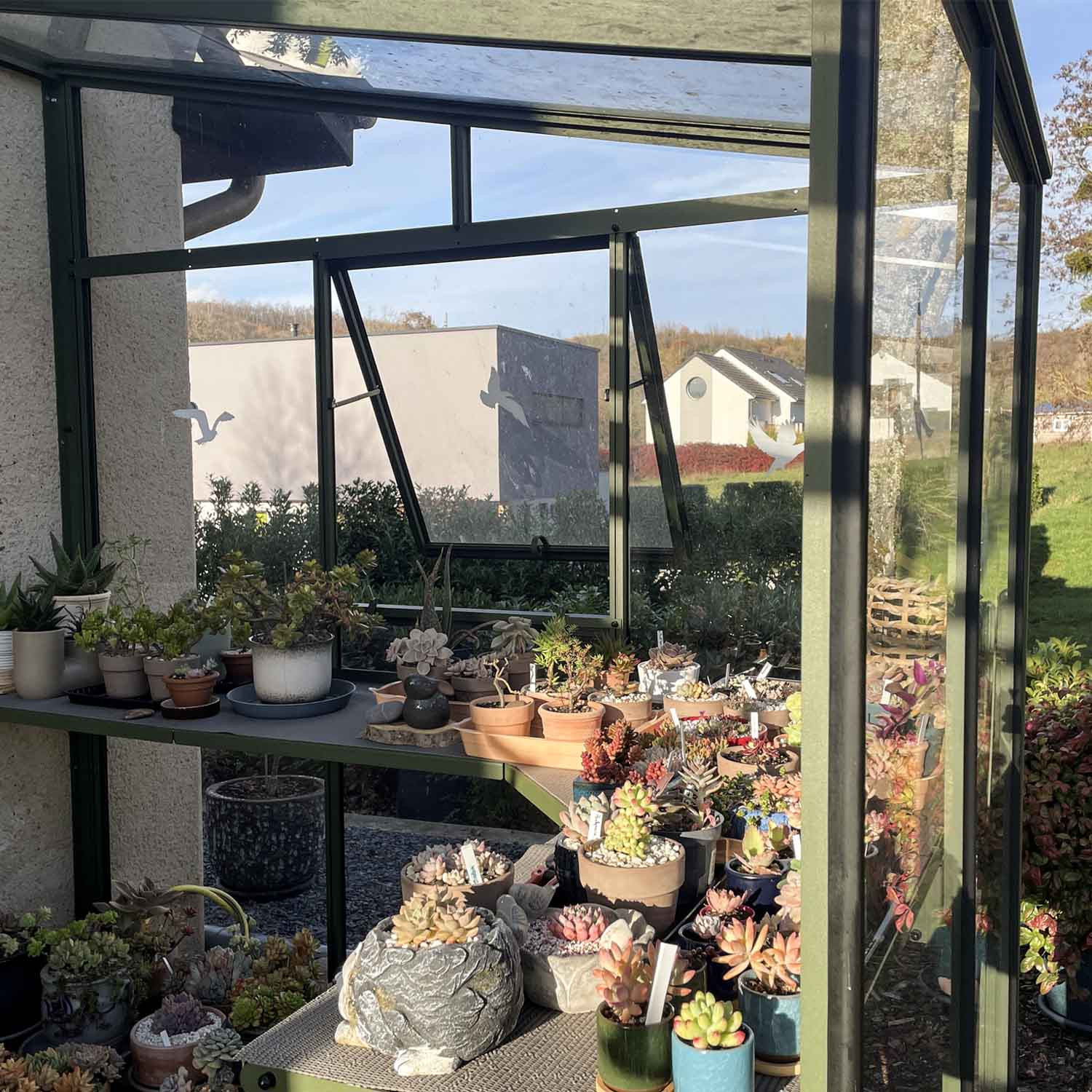 Serre LUXIA adossée largeur 2,32 m – Image 4