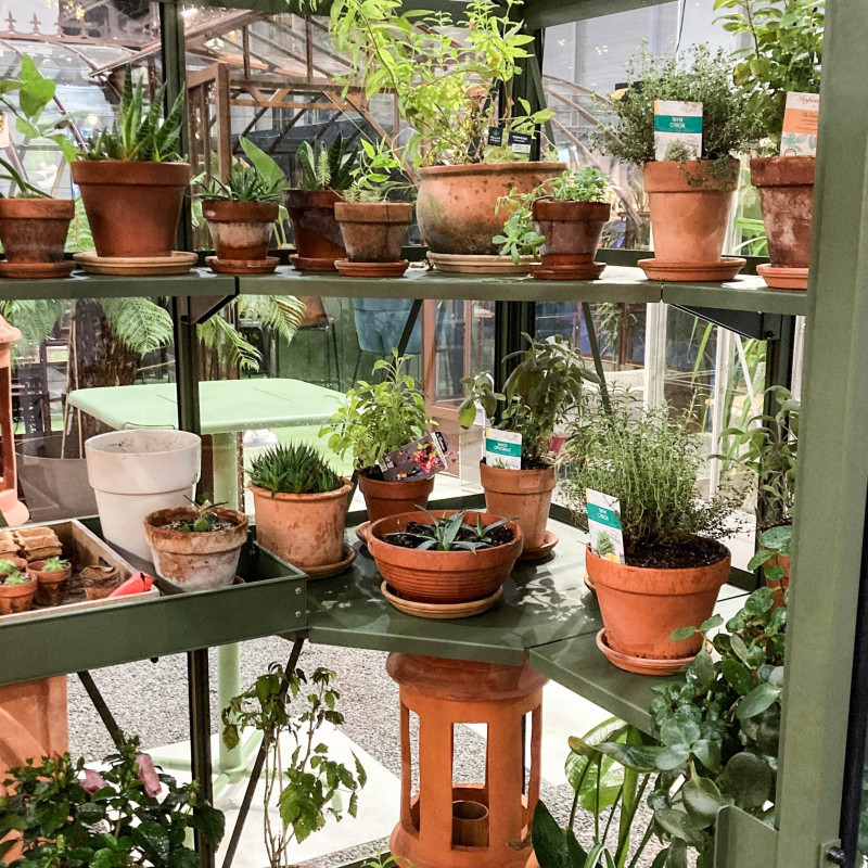 Serre SUPRA 4 chapelles – Image 10