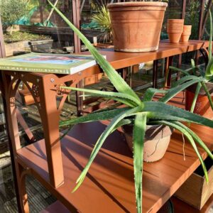 Table 2 plateaux avec sur-table - Accessoire pour serre LAMS