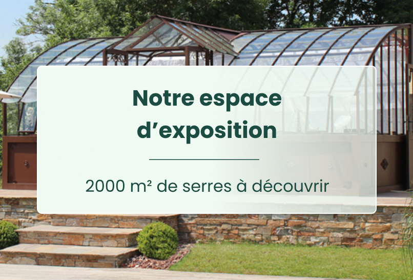 Salle d'exposition Art & Serres de 2000 m² avec serres en verre et structure bois à découvrir en magasin